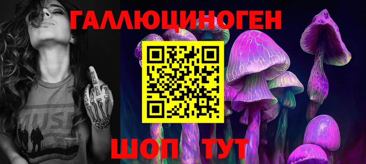 Галлюциногенные грибы Psilocybine cubensis Шали